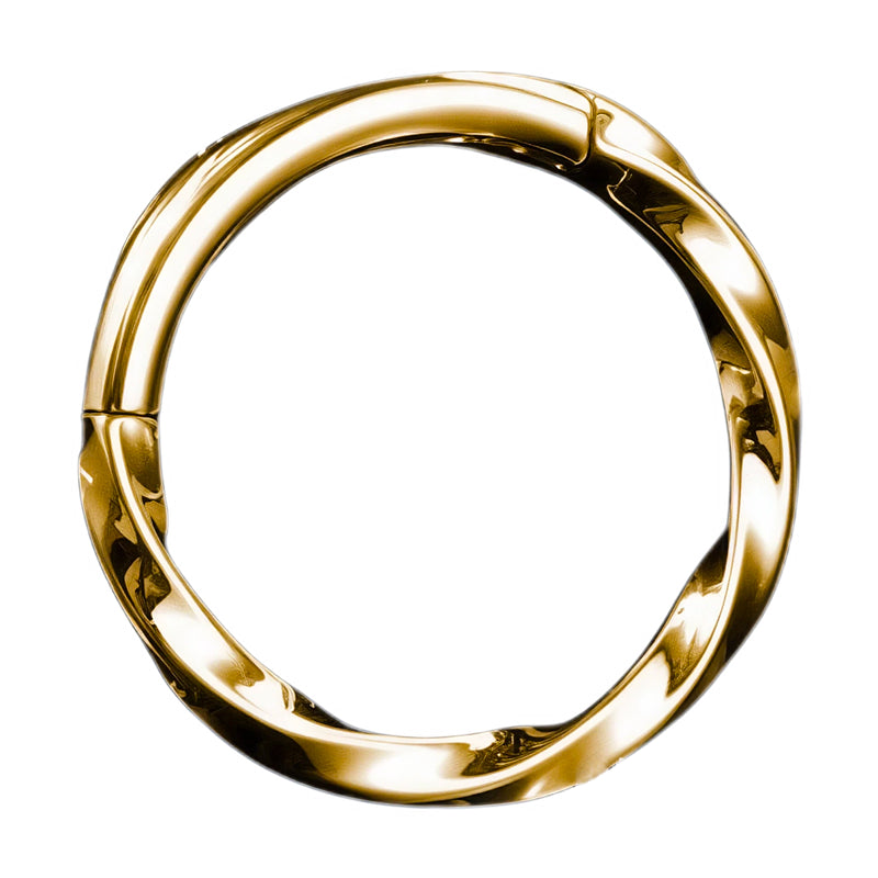 Piercing anneau argenté / doré dorsater