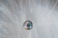 Collier nylon, perle cerclée et fermoir argent