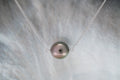 Collier en or avec perle ovale - Or jaune ou Or blanc